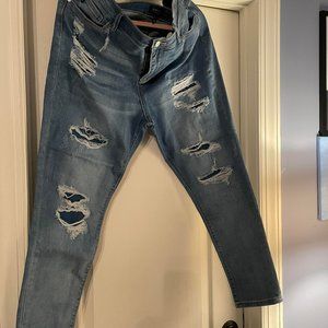 Judy Blue Jeans 2X Mid Rise Skinny Fit